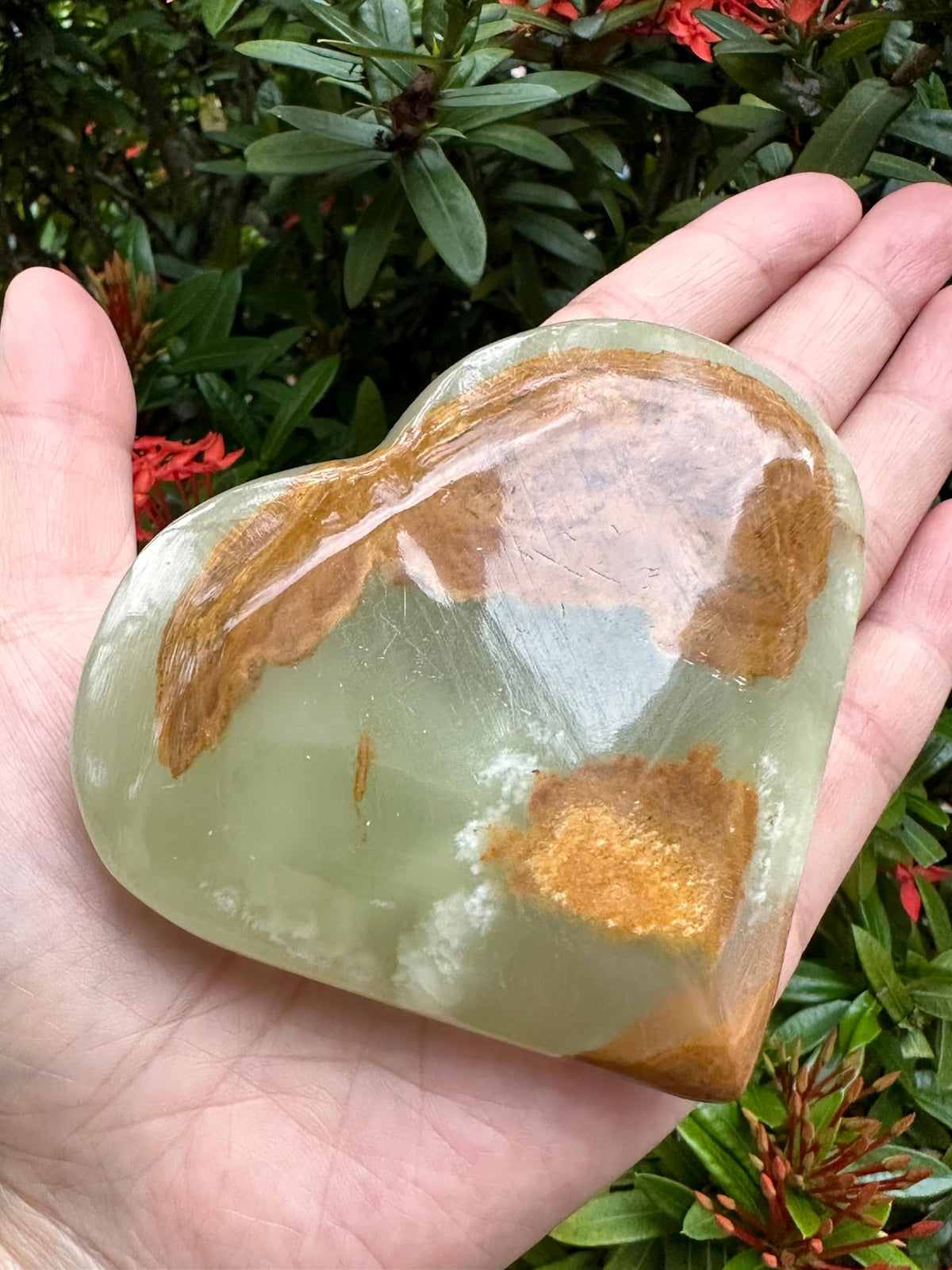 GAF TREASURES Jumbo Green Onyx Gemstone Hearts, Polished Green Onyx Puffy Hearts, Green Onyx Crystal Palm Stone, Green Onyx Healing Crystal Hearts (1 Heart)