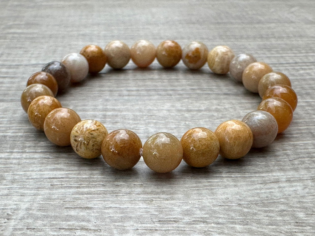 GAF TREASURES Fossil Coral Crystal Bead Bracelet 8mm, Genuine Fossil Coral Stretch Gemstone Bracelet, Healing Crystal Bracelet, Gift for Men & Women (1)