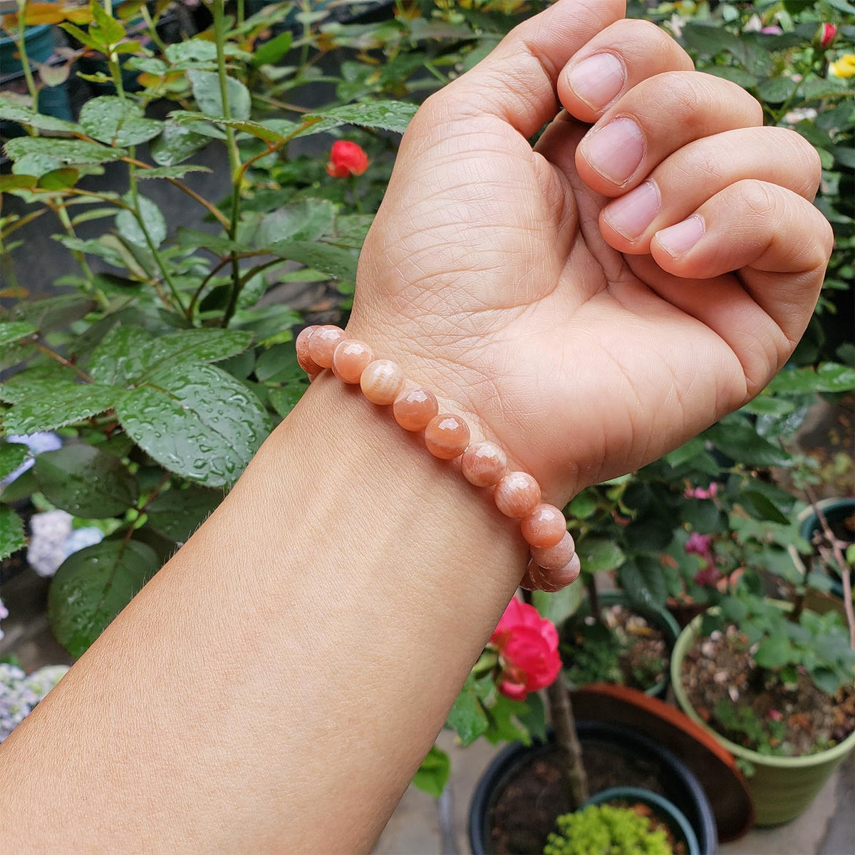 chengmu 8mm Sunstone Stretch Bracelet Natural Orange Moonstone Round Beads Semi Gemstone for Crystal Beaded Elastic Bracelet 7.5"