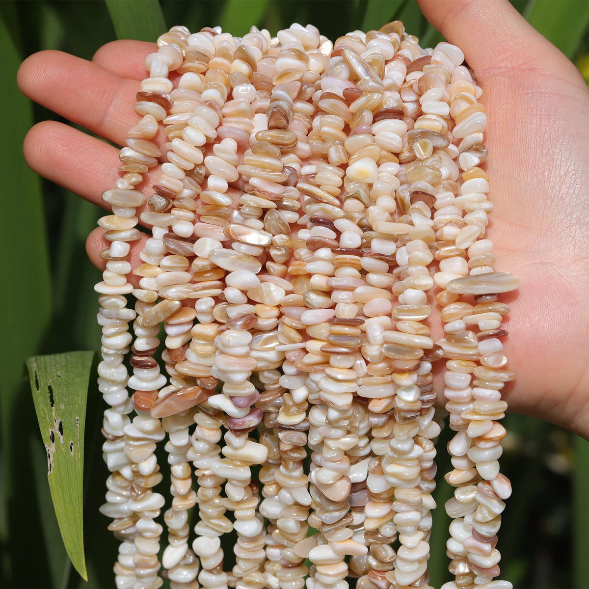 400pcs Natural Chip Shell Beads for Jewelry Making Brown Shell 5-8mm Irregular Gemstones Healing Crystal Loose Rocks Bead Hole Drilled for Ring Earrings Necklace Bracelet Making DIY Art Crafts