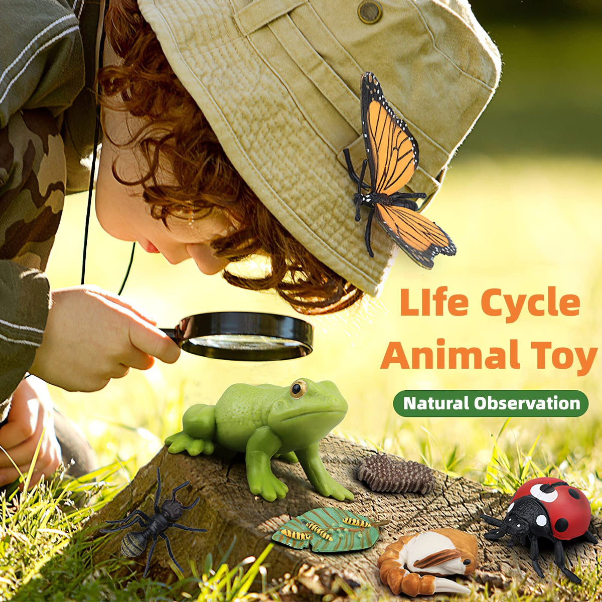 MIKNEKE Montessori Bee Life Cycle with Flash Cards, Realistic Animal Figurines Toy, Animal Educational Matching Game for 3+ Year Old Toddlers Kids (Bee)