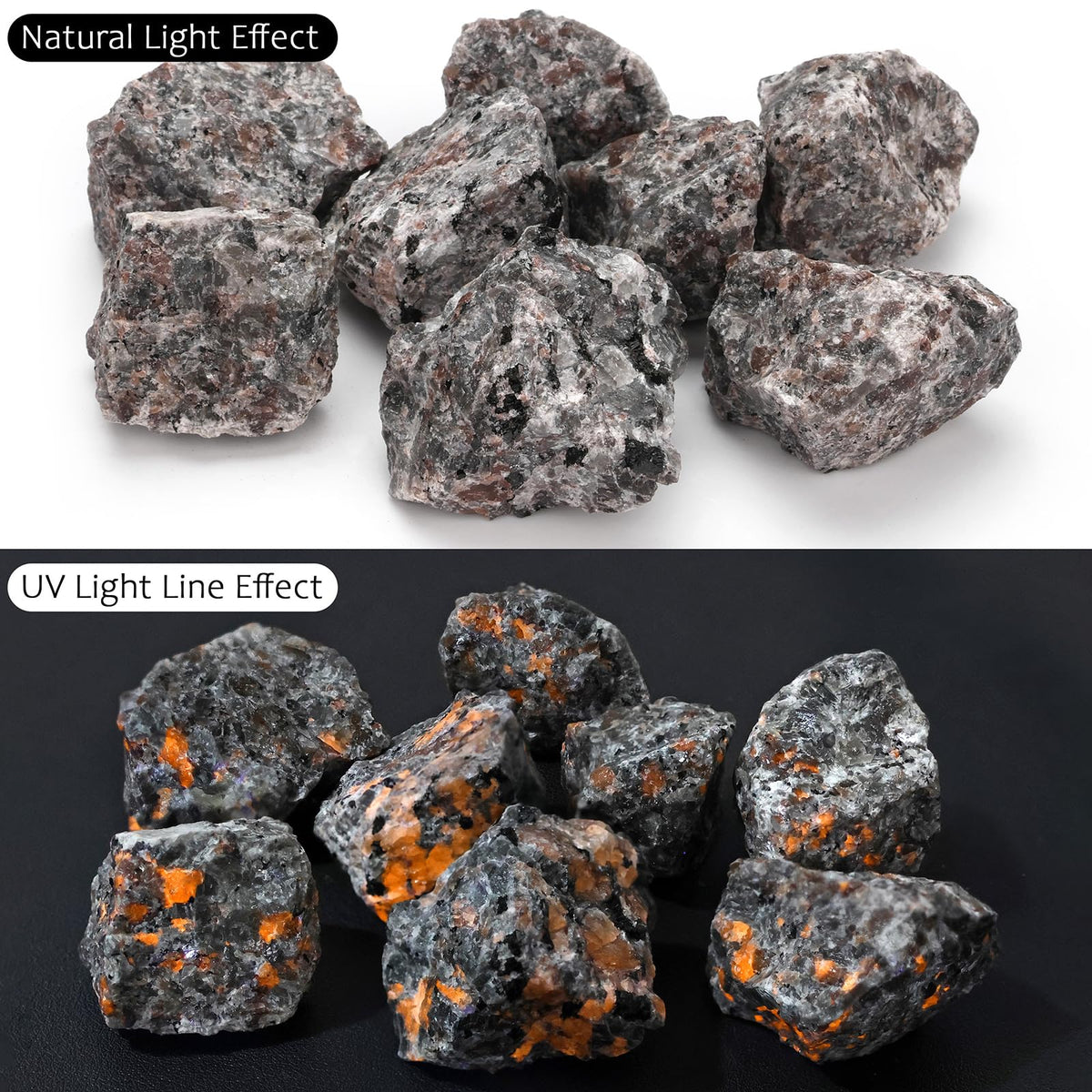 GolbalJew Yooperlite Natural Raw Crystals 2PCS Healing Crystal Stones 1.2-2.0” Reiki Healing Gemstones for Meditation Chakra Balance Home Decor