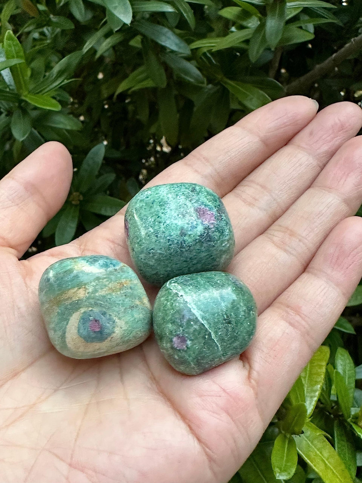 GAF TREASURES 5 Pcs Ruby Fuchsite Tumbled Stones, Polished Natural Gemstone, Healing Crystals