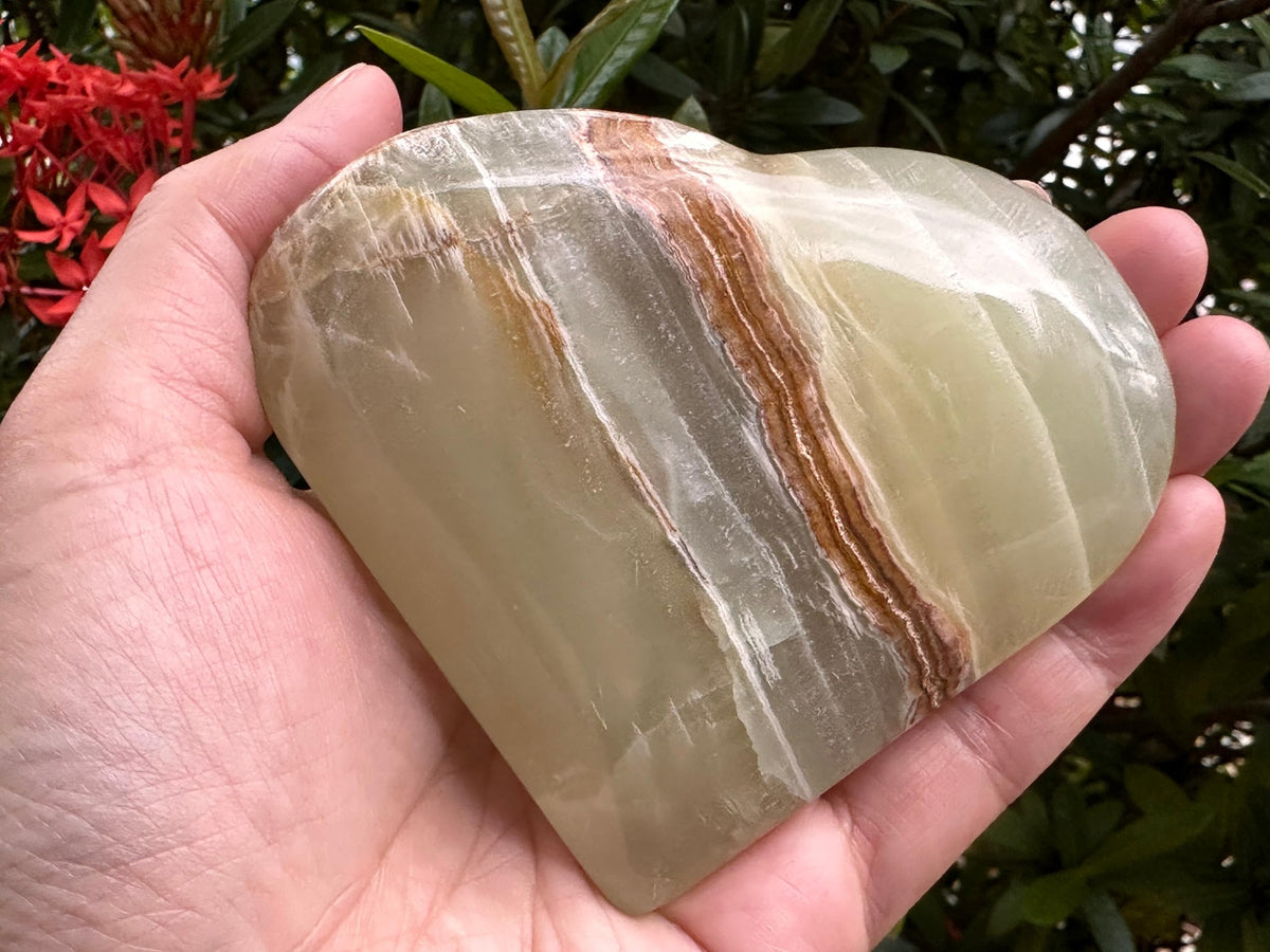 GAF TREASURES Jumbo Green Onyx Gemstone Hearts, Polished Green Onyx Puffy Hearts, Green Onyx Crystal Palm Stone, Green Onyx Healing Crystal Hearts (1 Heart)