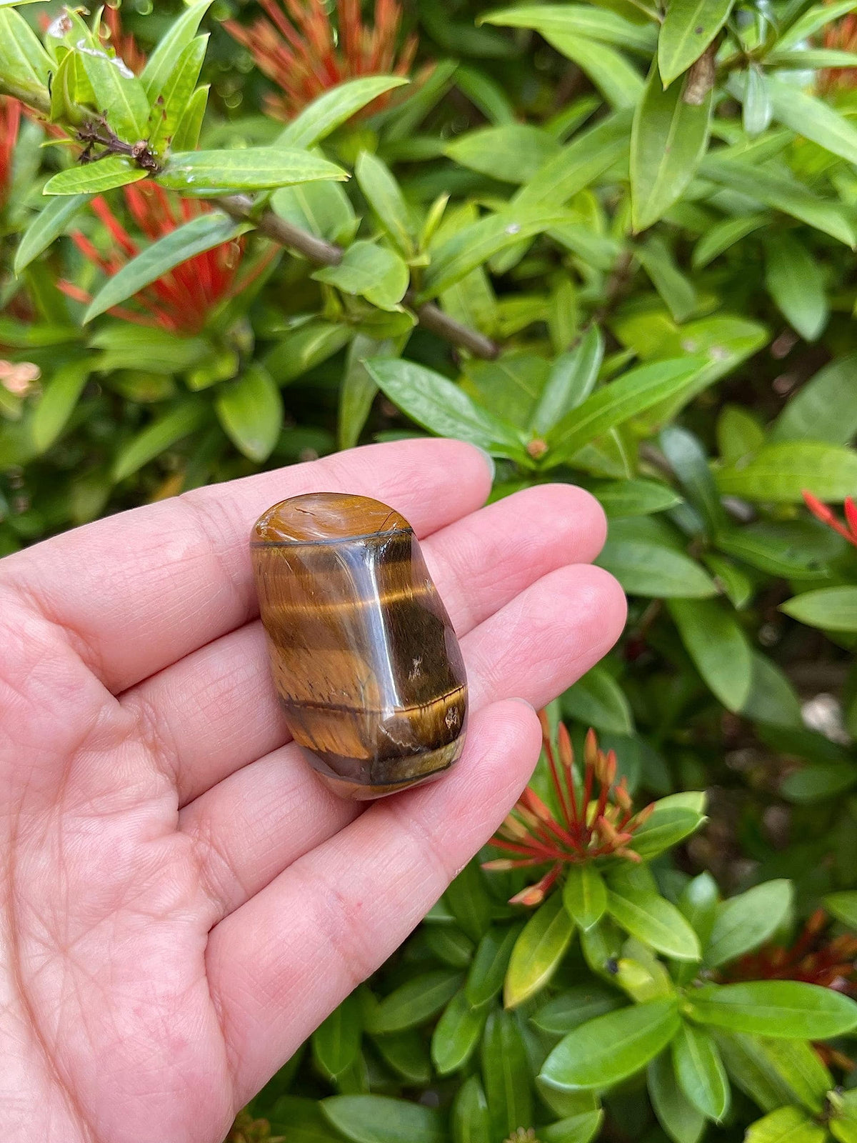 GAF TREASURES 5 Pcs Tiger Eye Tumbled Stones, Polished Natural Tiger Eye Gemstone, Tiger Eye Healing Crystals (Tiger Eye)