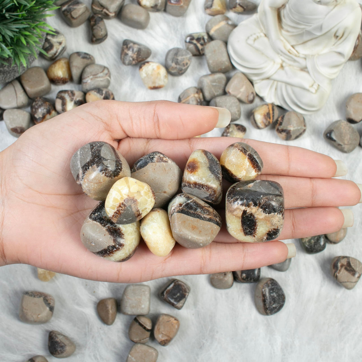 Crocon® 1lb Septarian Tumble Stones And Crystals Bulk 2000+ Carats Natural Crystal Kit For Reiki Healing Crystal Polished, Tumble Stones, Chakra Balancing, Gift, Home Decor Size : 20-25 mm