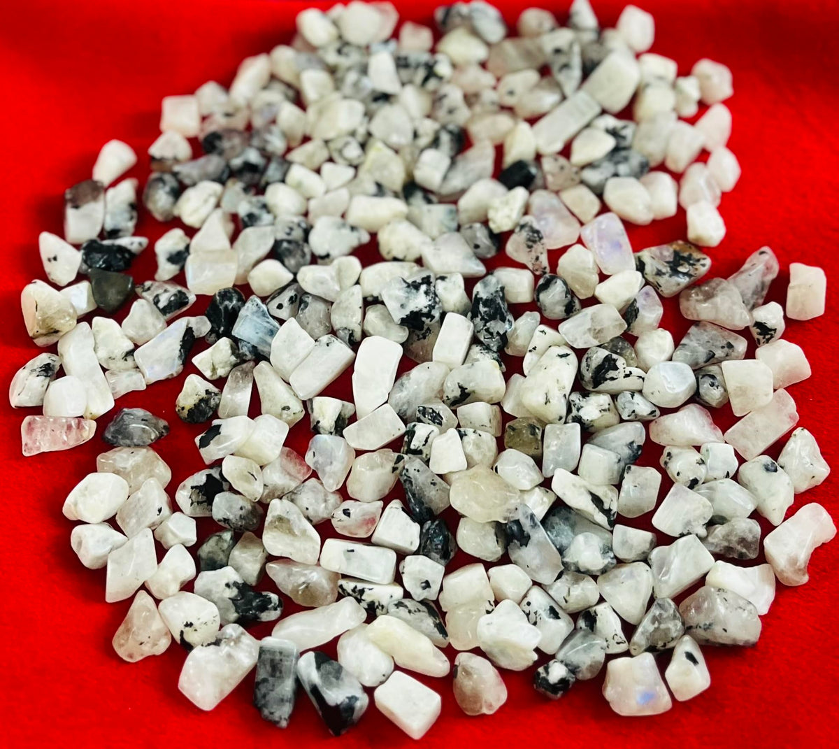 Indian Consigners Natural Crushed Polished Tumbled Gem Stone Chips, Decoration & Healing Crystals (Rainbow Moonstone)