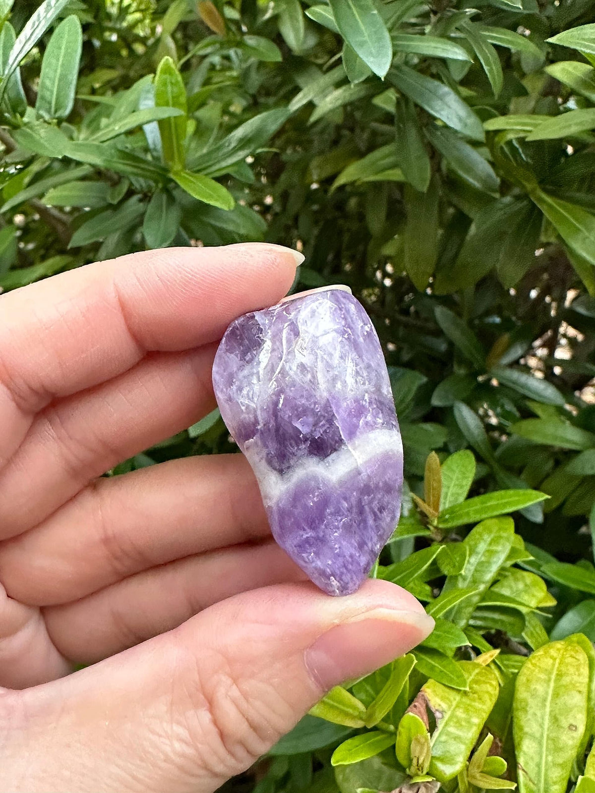 GAF TREASURES 5 Pcs Chevron Amethyst Tumbled Stones, Polished Chevron Amethyst Gemstone, Chevron Amethyst Healing Crystals (Chevron Amethyst)