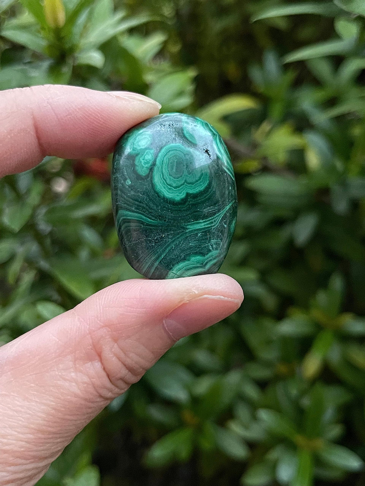GAF TREASURES 5 Pcs Malachite Tumbled Stones, Polished Natural Malachite Gemstone, Malachite Healing Crystals (Malachite)