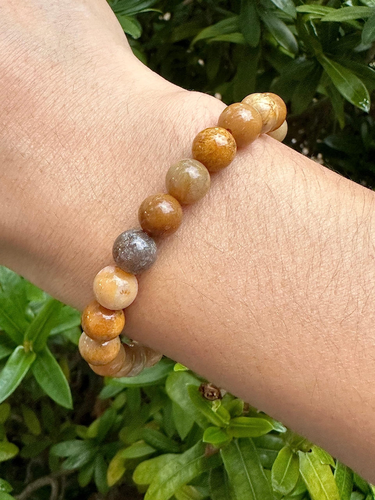GAF TREASURES Fossil Coral Crystal Bead Bracelet 8mm, Genuine Fossil Coral Stretch Gemstone Bracelet, Healing Crystal Bracelet, Gift for Men & Women (1)