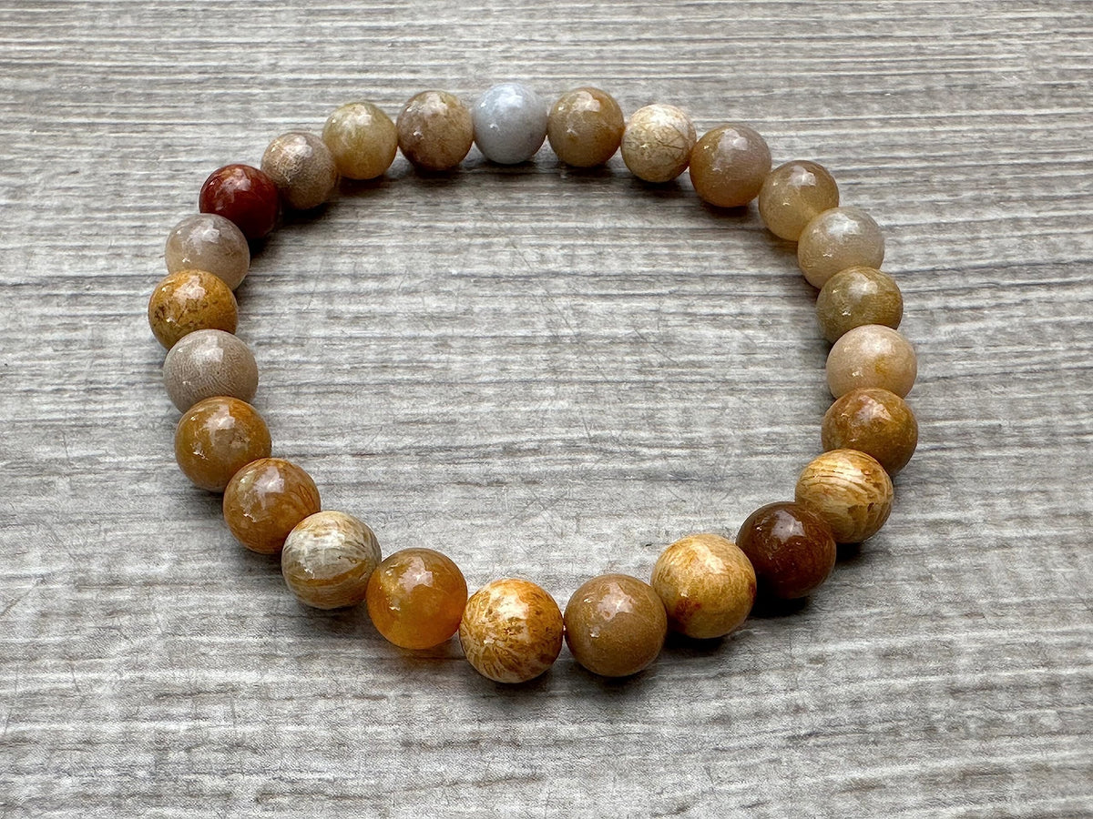 GAF TREASURES Fossil Coral Crystal Bead Bracelet 8mm, Genuine Fossil Coral Stretch Gemstone Bracelet, Healing Crystal Bracelet, Gift for Men & Women (1)