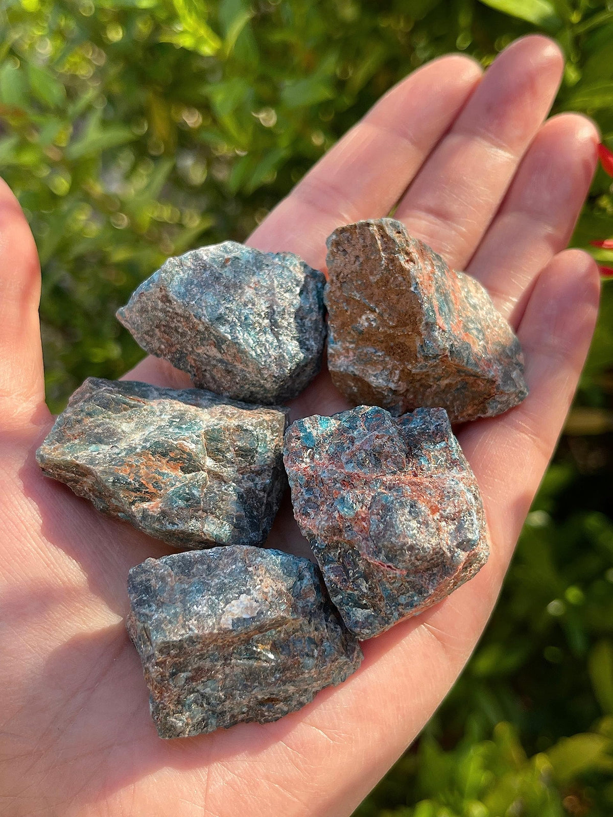 GAF TREASURES Wholesale Raw Apatite Crystals, Natural Apatite Stone, Natural Rough Apatite Crystals, Apatite Rough, Apatite Healing Crystals (Apatite, 0.5 Pound)