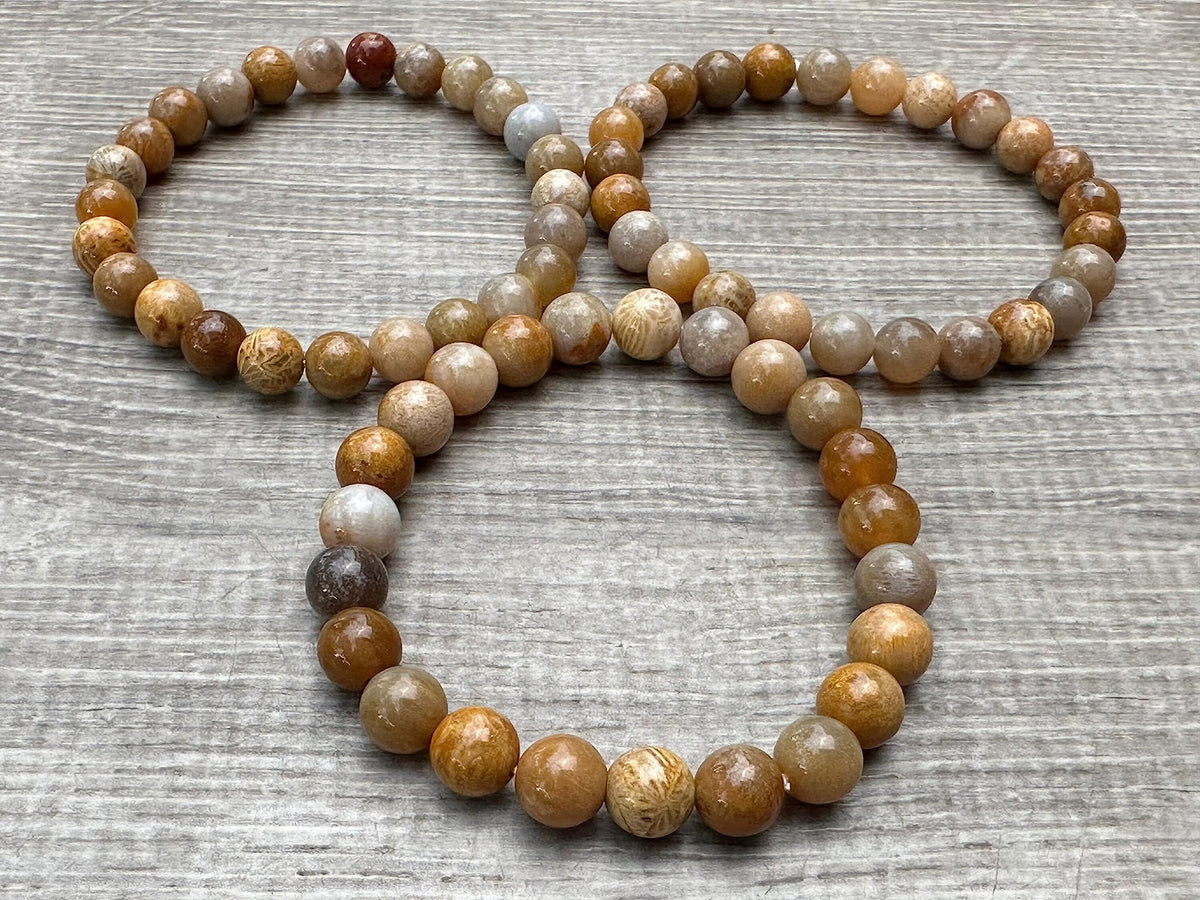 GAF TREASURES Fossil Coral Crystal Bead Bracelet 8mm, Genuine Fossil Coral Stretch Gemstone Bracelet, Healing Crystal Bracelet, Gift for Men & Women (1)