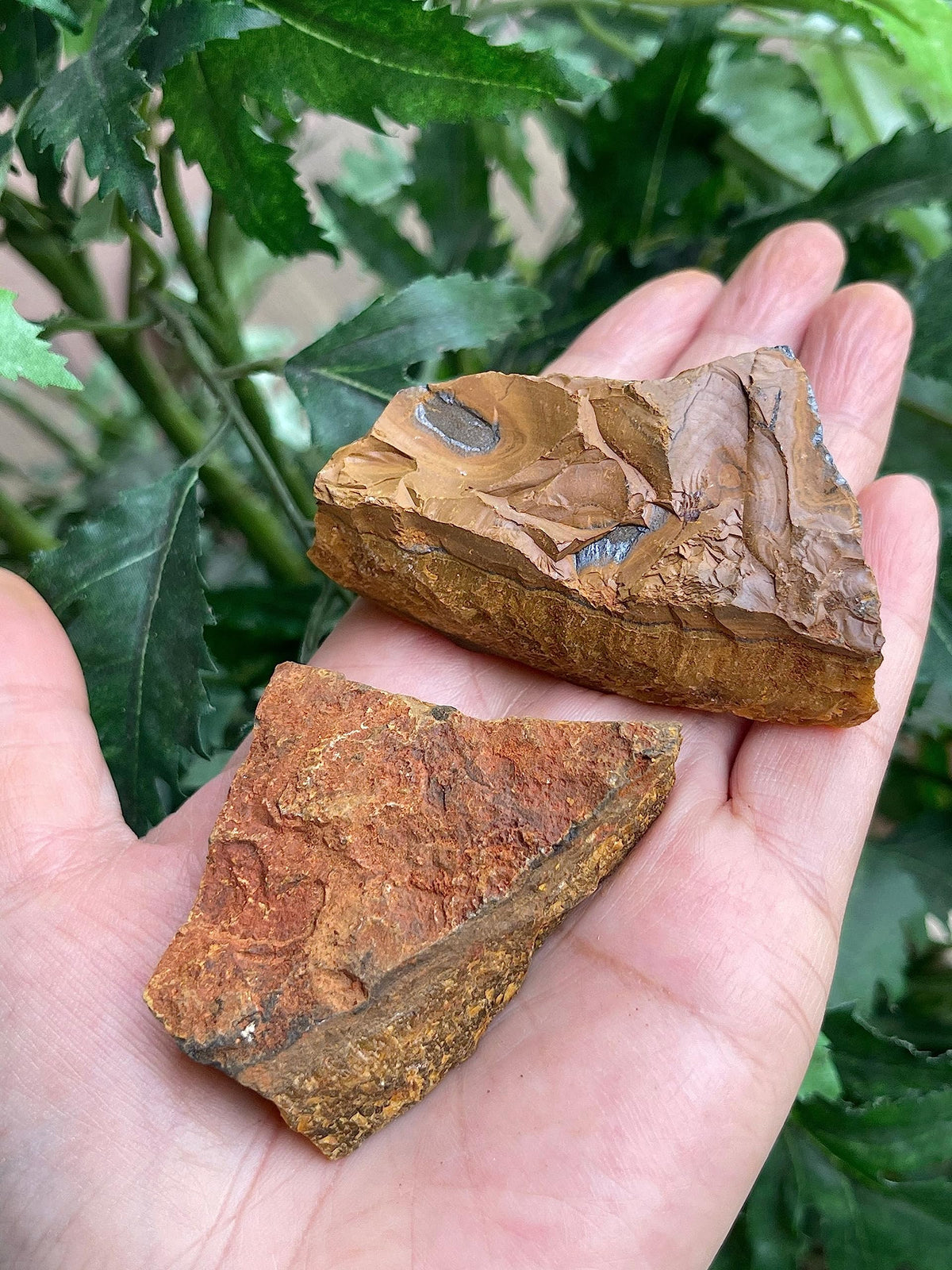GAF TREASURES Wholesale Raw Tiger Eye Crystals, Natural Tiger Eye Stone, Natural Rough Tiger Eye Crystals, Tiger Eye Rough, Tiger Eye Healing Crystals (Tiger Eye, 0.5 Pound)