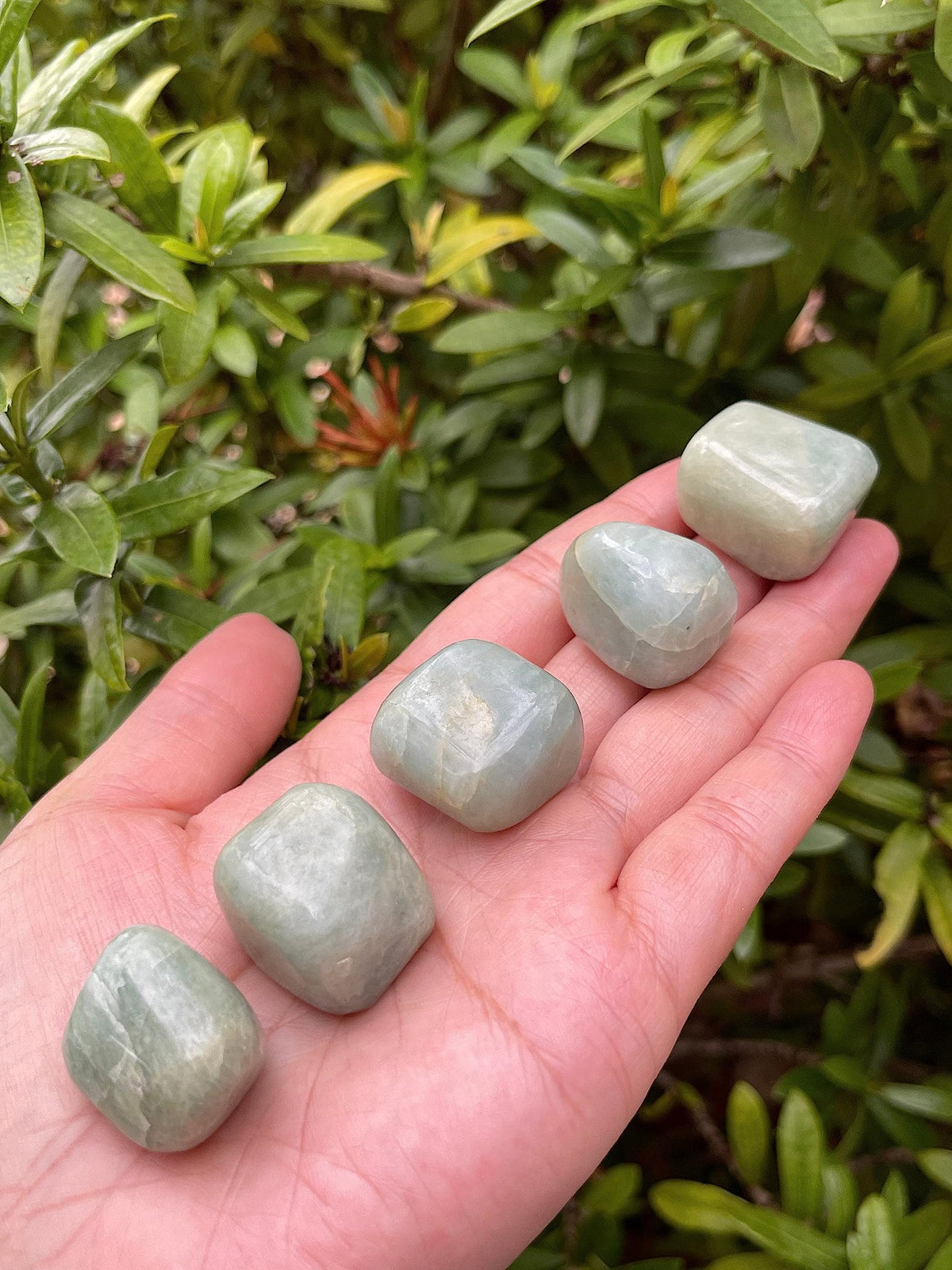 GAF TREASURES 5 Pcs Aquamarine Tumbled Stones, Polished Natural Aquamarine Gemstone, Aquamarine Healing Crystals (Aquamarine)