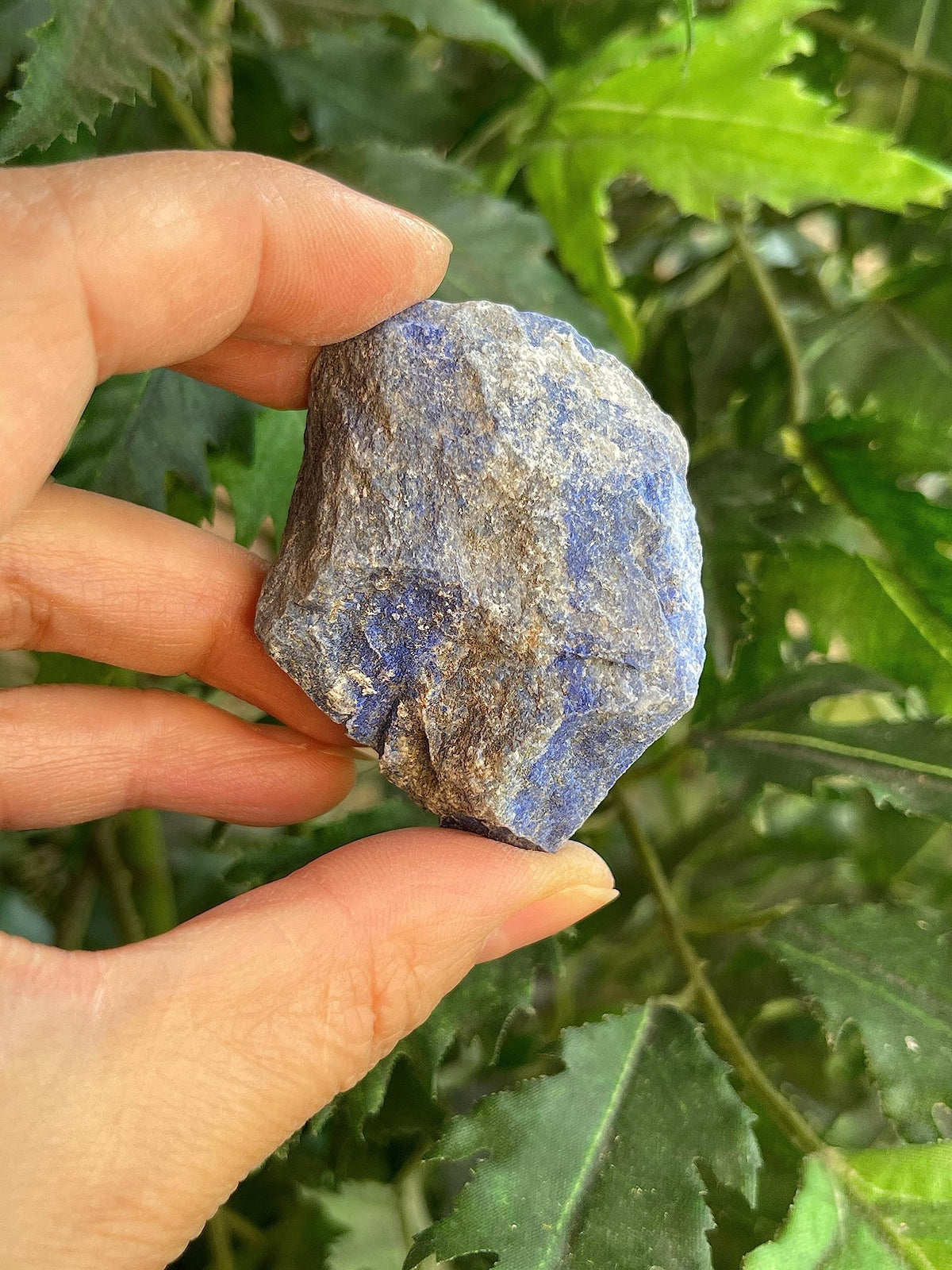 GAF TREASURES Wholesale Raw Lapis Lazuli Crystals, Natural Lapis Lazuli Stone, Natural Rough Lapis Lazuli Crystals, Lapis Lazuli Rough, Lapis Lazuli Healing Crystals (Lapis Lazuli, 0.5 Pound)