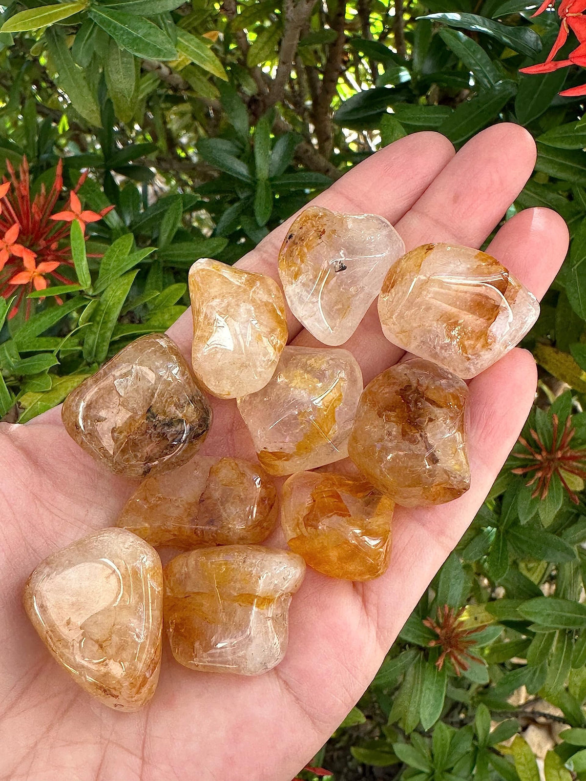 GAF TREASURES 5 Pcs Golden Healer Quartz Tumbled Stones, Polished Natural Golden Healer Quartz Gemstone, Golden Healer Quartz Healing Crystals (Golden Healer Quartz)