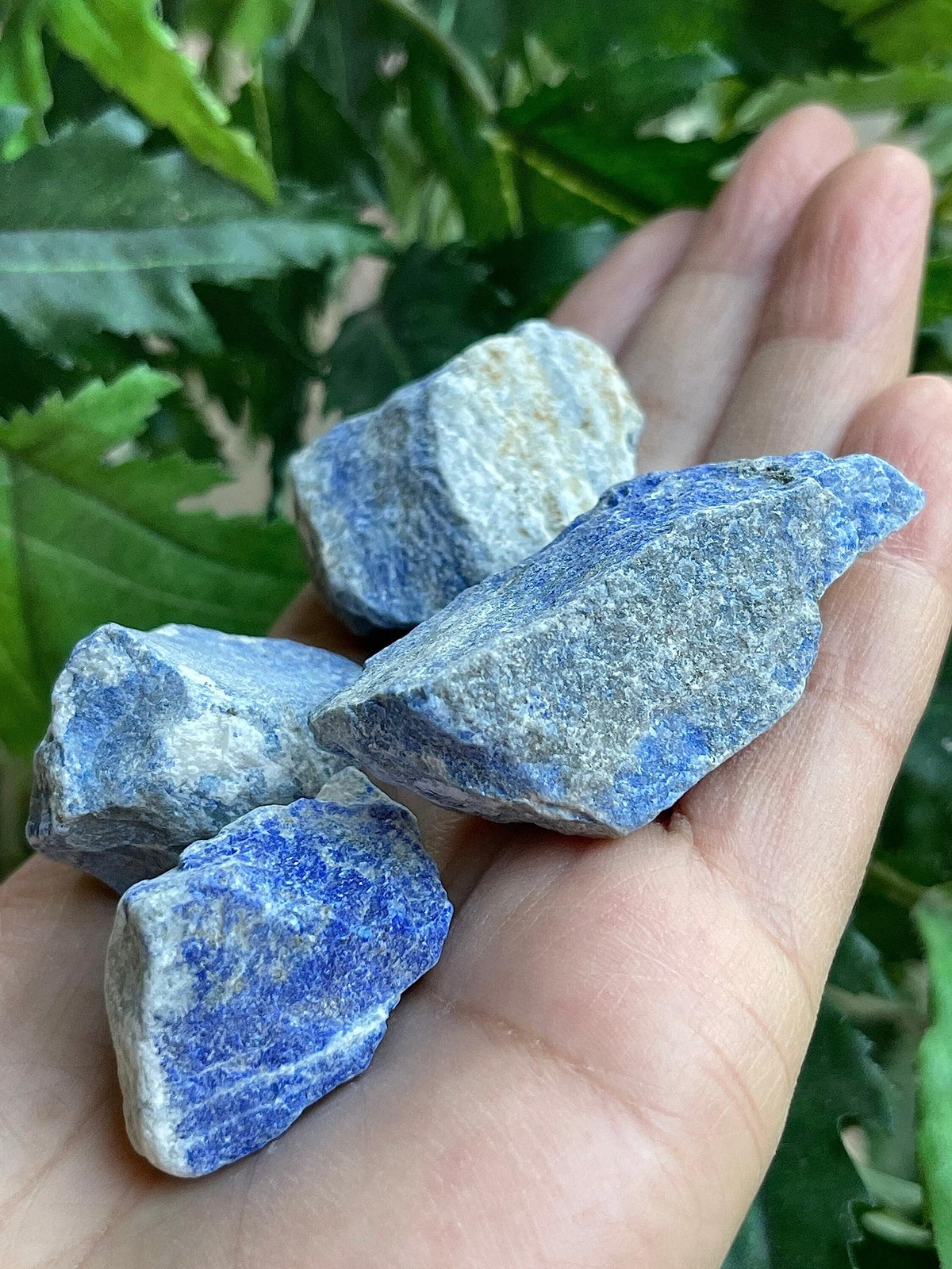 GAF TREASURES Wholesale Raw Lapis Lazuli Crystals, Natural Lapis Lazuli Stone, Natural Rough Lapis Lazuli Crystals, Lapis Lazuli Rough, Lapis Lazuli Healing Crystals (Lapis Lazuli, 0.5 Pound)