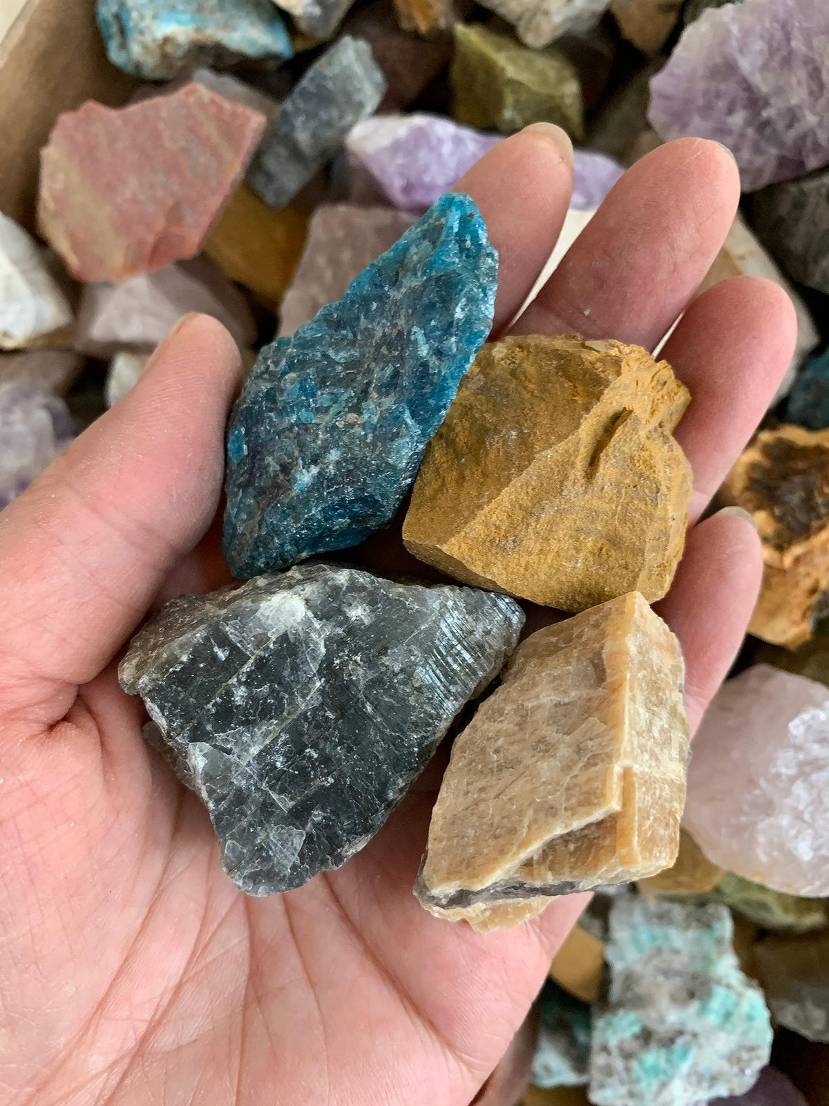 GAF TREASURES Wholesale Raw Assorted Crystals, Natural Assorted Stone, Natural Rough Assorted Crystals, Assorted Rough, Assorted Healing Crystals (Assorted, 0.5 Pound)