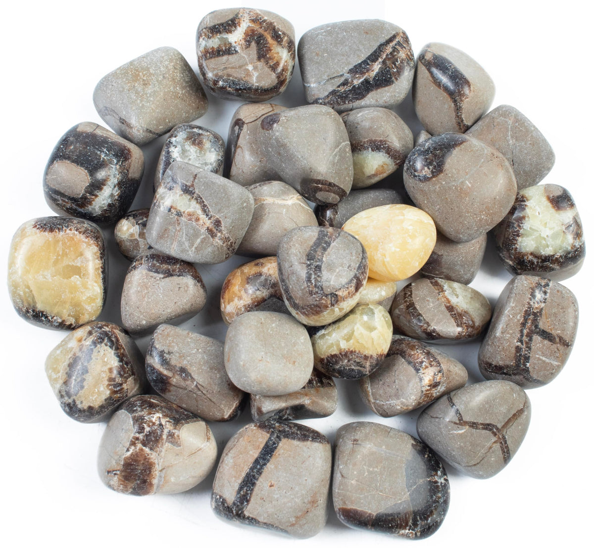 Crocon® 1lb Septarian Tumble Stones And Crystals Bulk 2000+ Carats Natural Crystal Kit For Reiki Healing Crystal Polished, Tumble Stones, Chakra Balancing, Gift, Home Decor Size : 20-25 mm
