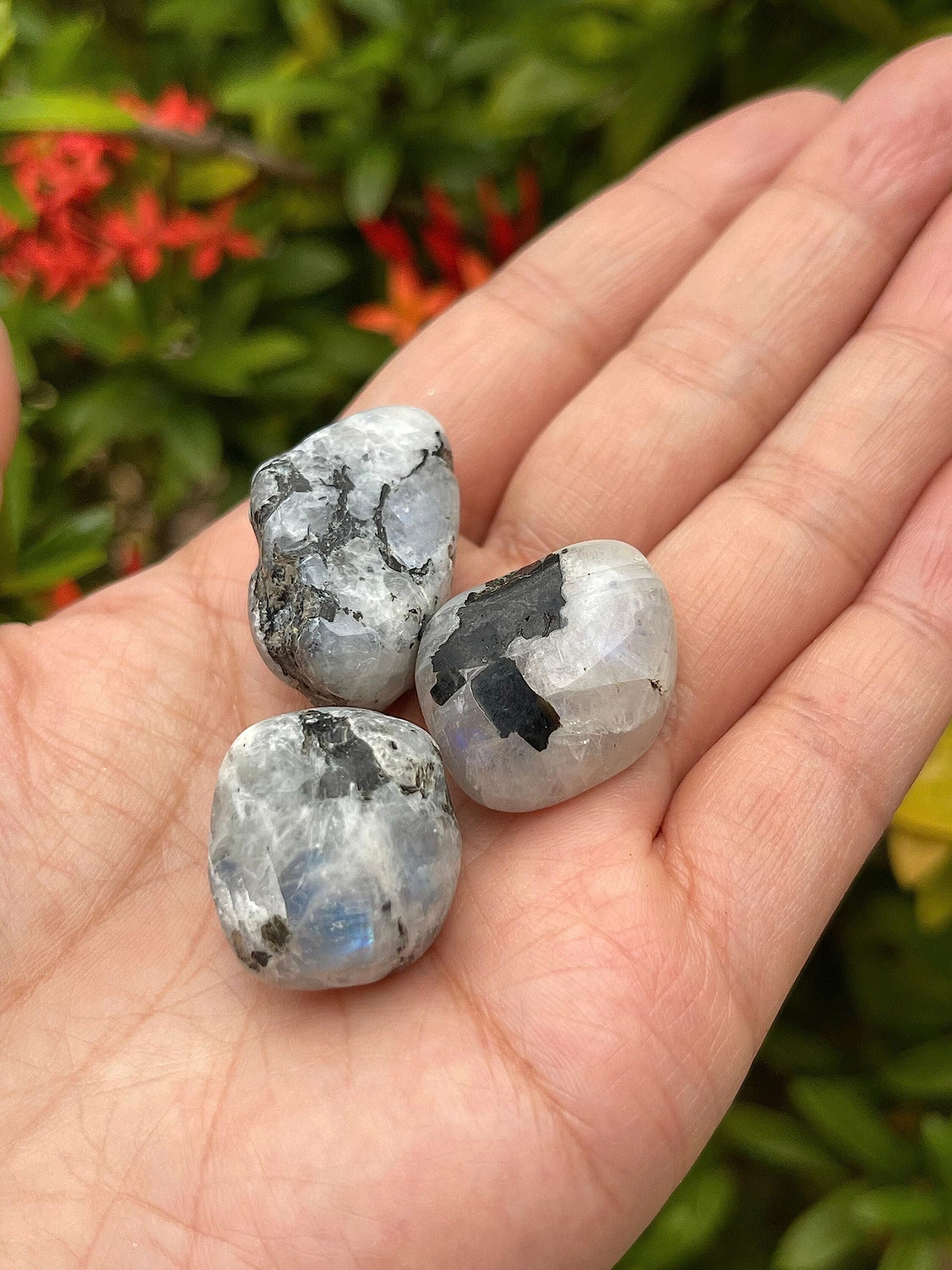 GAF TREASURES 5 Pcs Rainbow Moonstone Tumbled Stones, Polished Rainbow Moonstone Gemstone, Rainbow Moonstone Healing Crystals (Rainbow Moonstone)